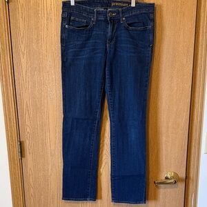 GAP Premium Women's Blue Jeans